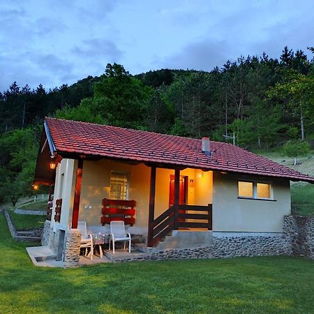 Villa Vikend Kuca Maksimovic Mataruska Banja Esterno foto