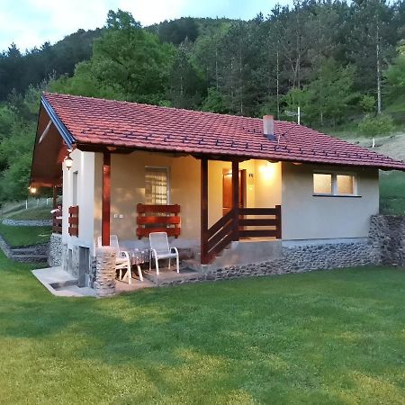 Villa Vikend Kuca Maksimovic Mataruska Banja Esterno foto