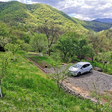 Villa Vikend Kuca Maksimovic Mataruska Banja Esterno foto