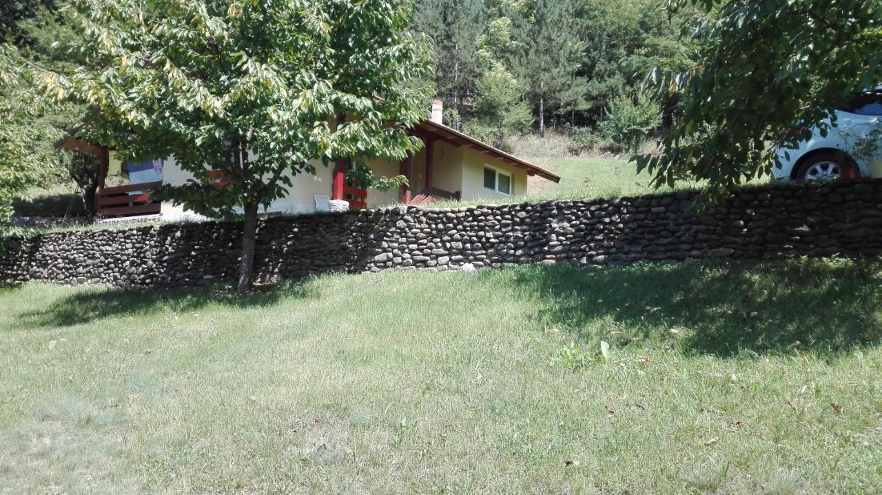 Villa Vikend Kuca Maksimovic Mataruska Banja Esterno foto