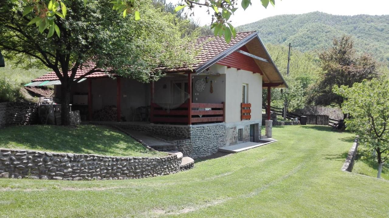 Villa Vikend Kuca Maksimovic Mataruska Banja Esterno foto