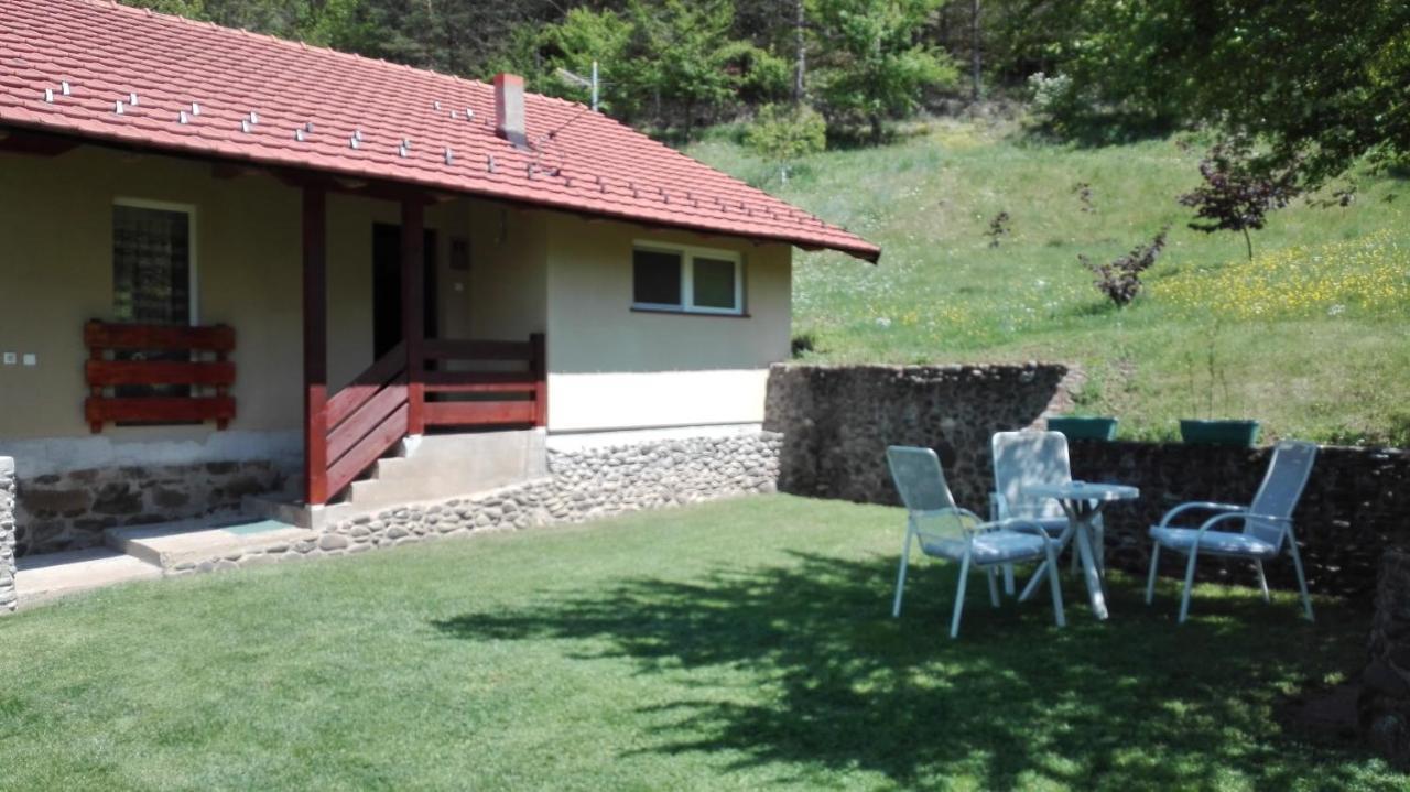 Villa Vikend Kuca Maksimovic Mataruska Banja Esterno foto