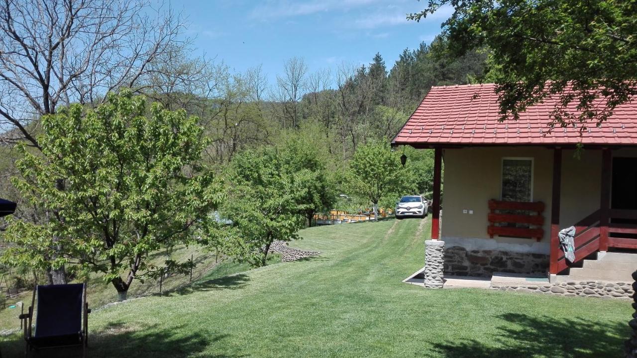 Villa Vikend Kuca Maksimovic Mataruska Banja Esterno foto