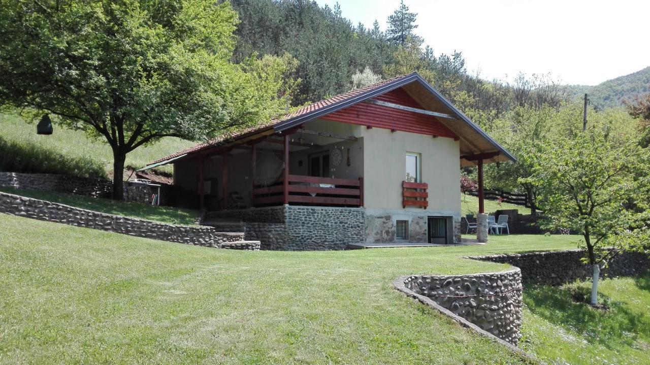 Villa Vikend Kuca Maksimovic Mataruska Banja Esterno foto