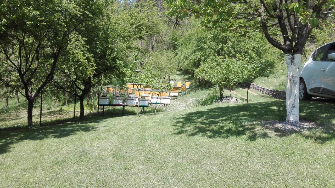 Villa Vikend Kuca Maksimovic Mataruska Banja Esterno foto