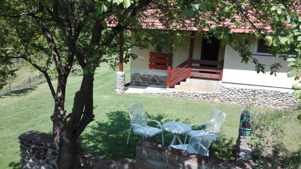 Villa Vikend Kuca Maksimovic Mataruska Banja Esterno foto