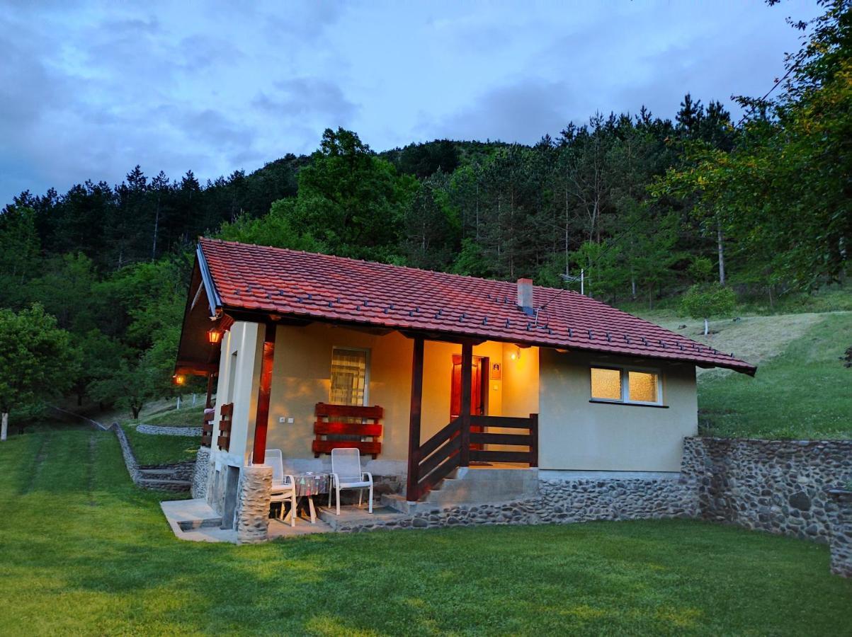Villa Vikend Kuca Maksimovic Mataruska Banja Esterno foto