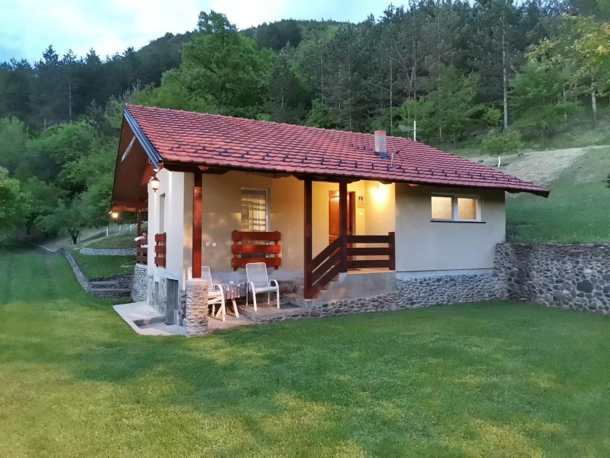 Villa Vikend Kuca Maksimovic Mataruska Banja Esterno foto
