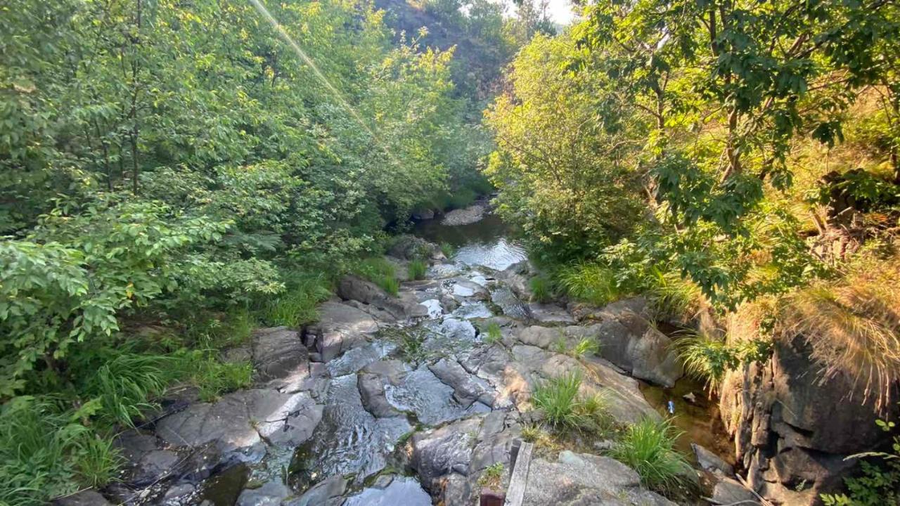Villa Vikend Kuca Maksimovic Mataruska Banja Esterno foto