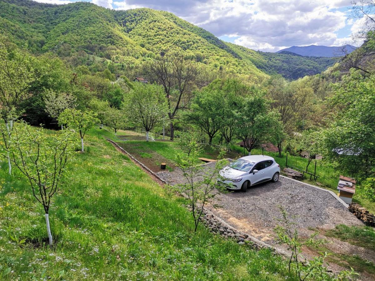 Villa Vikend Kuca Maksimovic Mataruska Banja Esterno foto