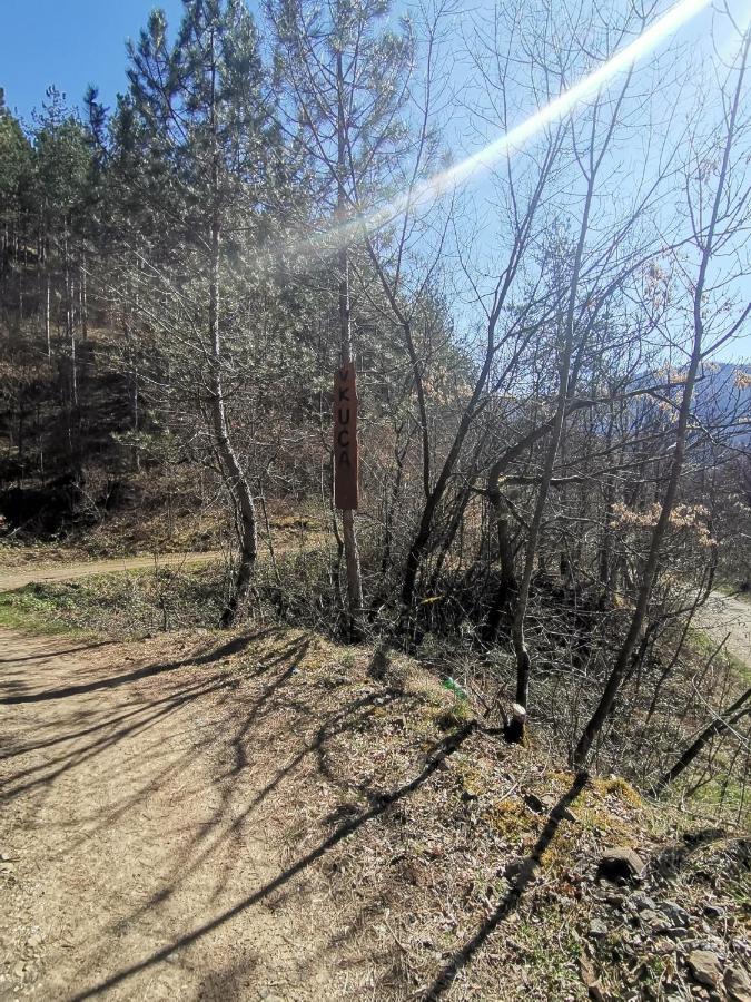 Villa Vikend Kuca Maksimovic Mataruska Banja Esterno foto